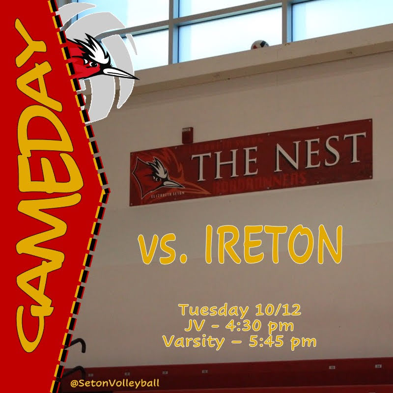 Elizabeth Seton HS Volleyball tweet media