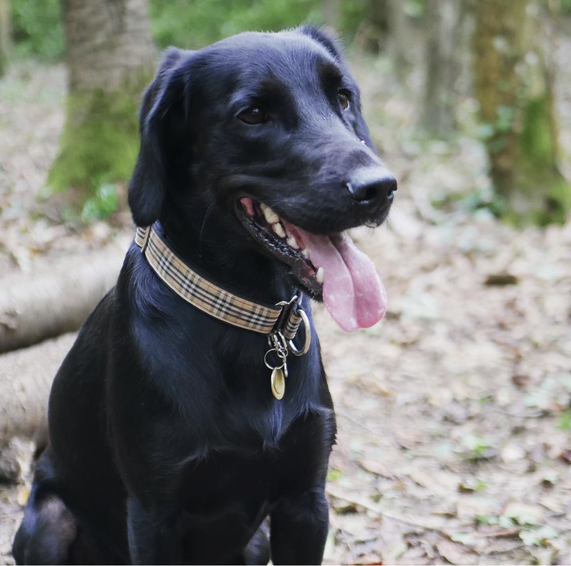 connectilib's tweet image. Pop et la team CONNECTiLiB vous souhaite un bon week-end 🥰