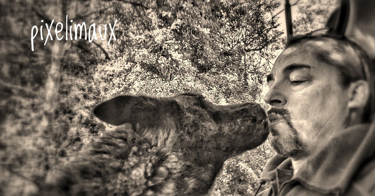Pixelimaux's tweet photo. 1+1=1
#bergerhollandais 
#gendarmerie #gendarmerienationale
#policedog #k9unit #k9 #bergerhollandais #doglover #dogstagram #selfie #selfiedog #policek9 #chienpolicier #chien #gendarmerienationale #gendarmerie #workingdog #psig #dogpolice #dogstagram #dogstyle #policek9 https://t.co/5OtmuCs7eK