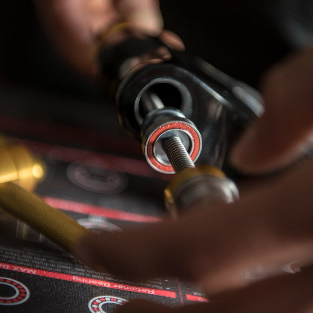 Rush Sports tweet media