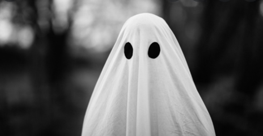 With Halloween creeping up, we're keen to secure more land before year end. 

If you have land that's ‘spooked’ others, let's see if we can make it work. We like straightforward sites too!

Please send to land@wonderfulhomes.co.uk

Hope your Halloween is more treats than tricks!