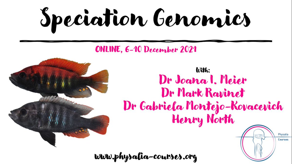For this edition of the #SpeciationGenomics course with <a href="/joana_meier/">Joana Meier</a> &amp; <a href="/Mark_Ravinet/">Mark Ravinet</a>, we will have 2 fantastic TAs <a href="/henrylnorth/">Henry North</a> &amp; <a href="/gmkov/">Gabriela Montejo-Kovacevich 🇪🇺</a> 

We have the last seats left, do not miss it out: physalia-courses.org/courses-worksh…

#Genomics #rstats #evolution
