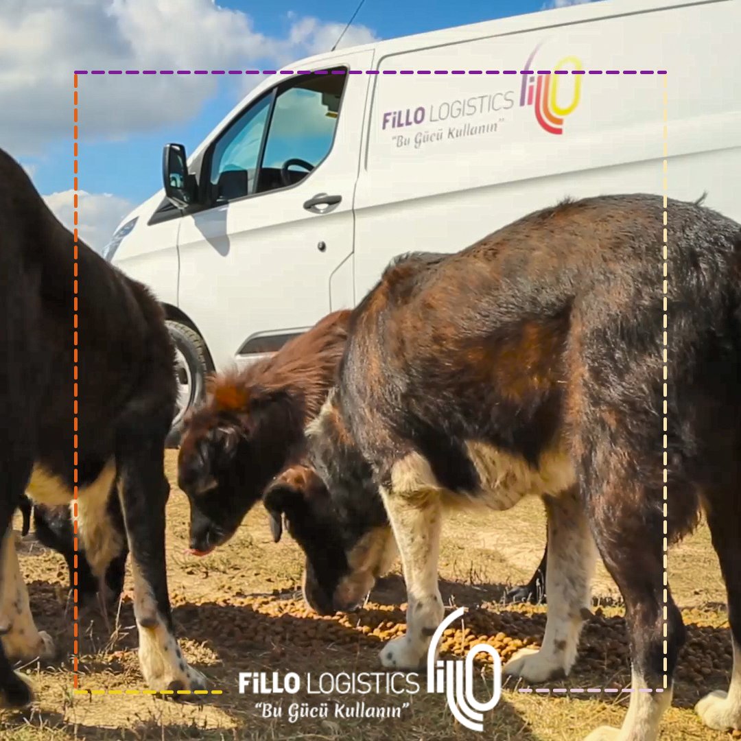 Havaların hızla soğuduğu bu günlerde sokakta yaşayan küçük dostlarımızın bize daha fazla ihtiyacı var. Şirket olarak düzenli yardımlarımızı sürdürüyoruz. Unutmayın; bir kap su, bir kap mama onların hayatını kurtarabilir.

#fillolojistik #birkapsubirkapmama