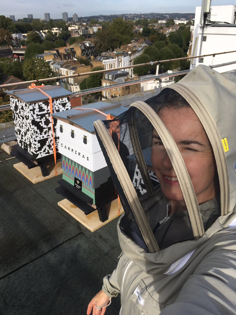 HighgateHoney's tweet image. Bye bees

It’s time for beekeepers to make their final checks over their hives before winter. We won’t be inspecting our bees now until the spring - it’s bitter sweet - time to take some rest, but we will miss the bees!

#londonbees #londonlife #winterbees #bittersweet