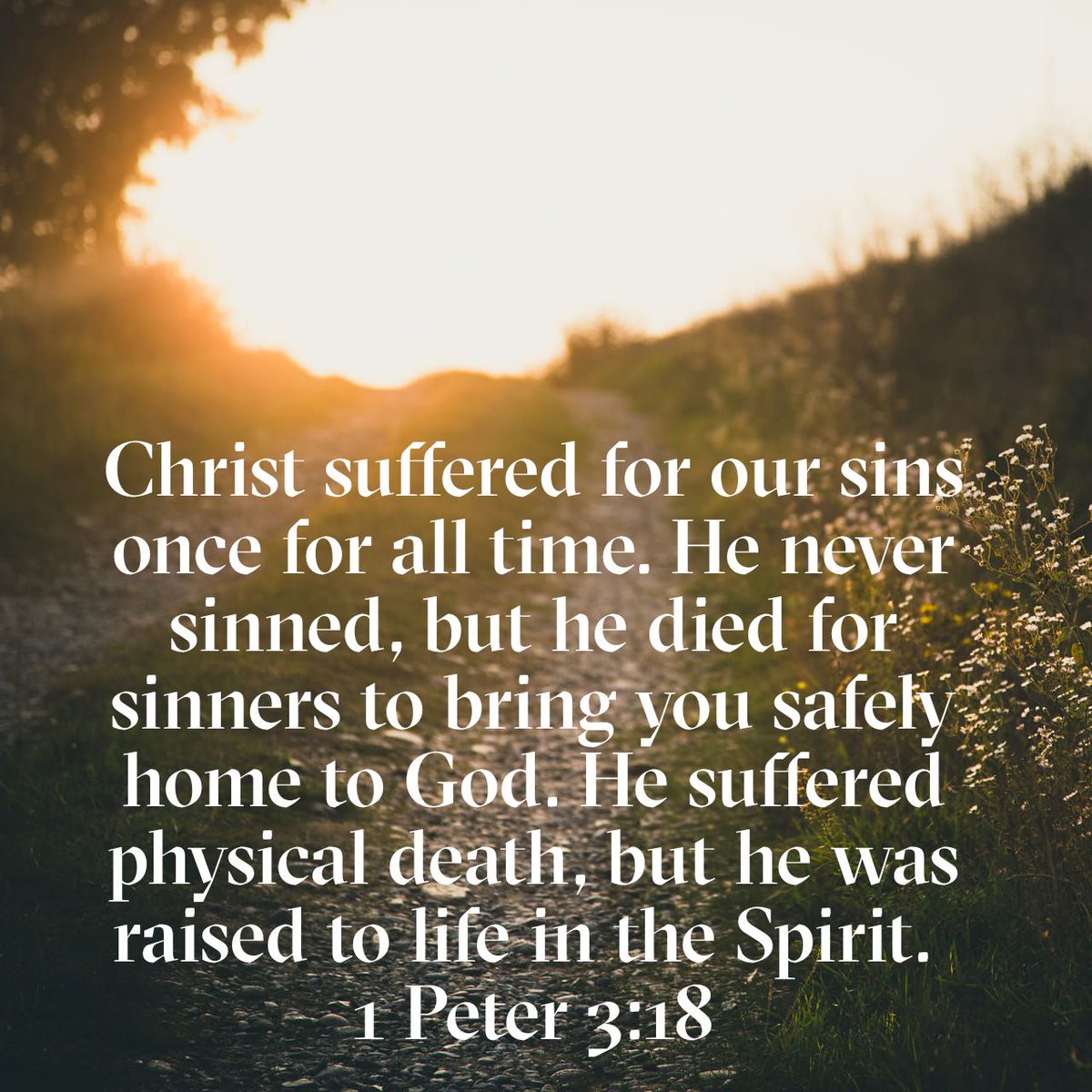 fvrchurch's tweet photo. https://t.co/yWLrFYMSKE