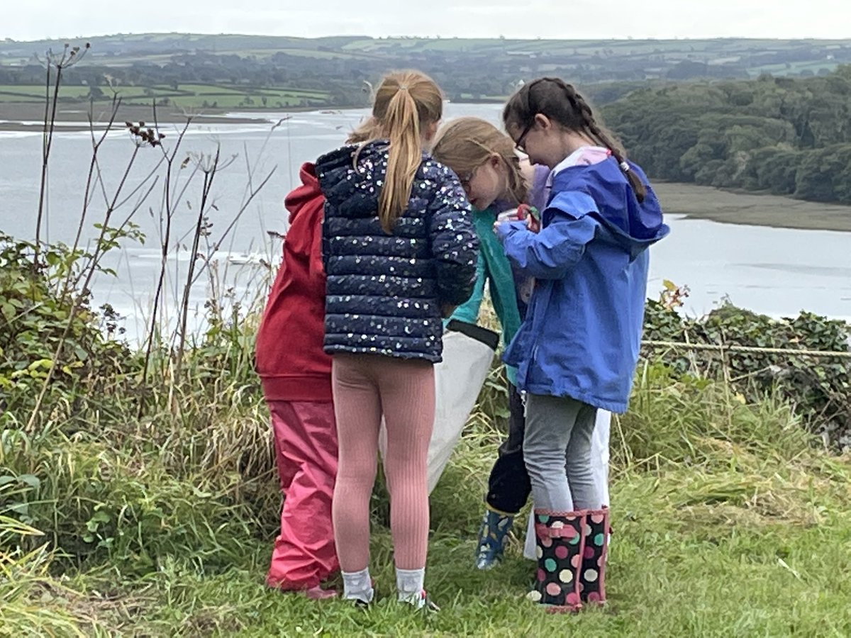 Back where it matters… from talk to action at Cymbrogi Central learning in - and from nature… with an awesome crew from <a href="/StepasideCP/">Stepaside C.P. School</a> #sustainability #circulareconomy #collaboration #whatmatters