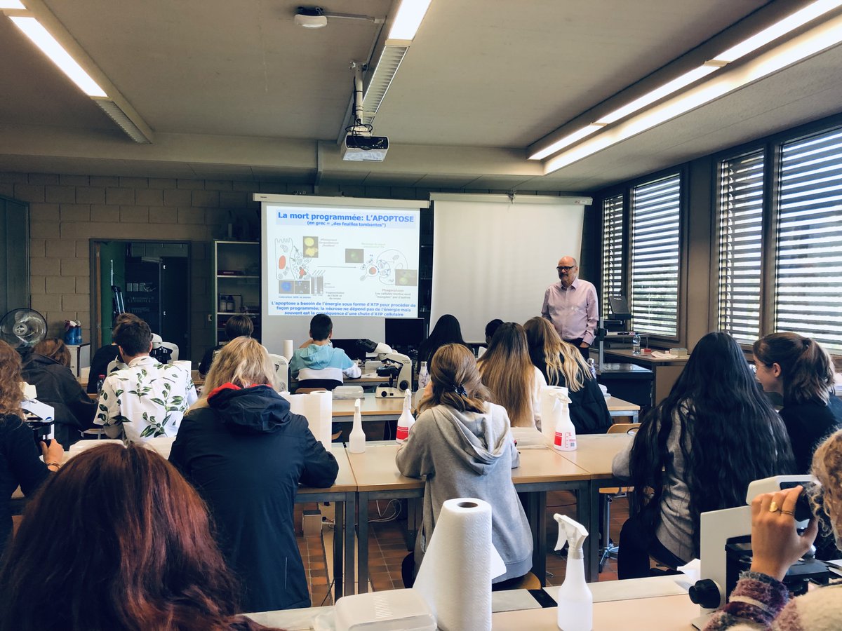ScienceValais's tweet photo. Le #Tecday de la @SATW_ch 👾 continue cette après-midi au Lycée-Collège des Creusets avec des ateliers de l'@EPFL, de la @hessovalais, de l'@Idiap_ch, du makerspace de la @mediathequeVS et du Dôme/Planétarium-#Sion, entre autres institutions 🔬
👉 https://t.co/8JZGhoa7dq https://t.co/PzY2NjbOAR