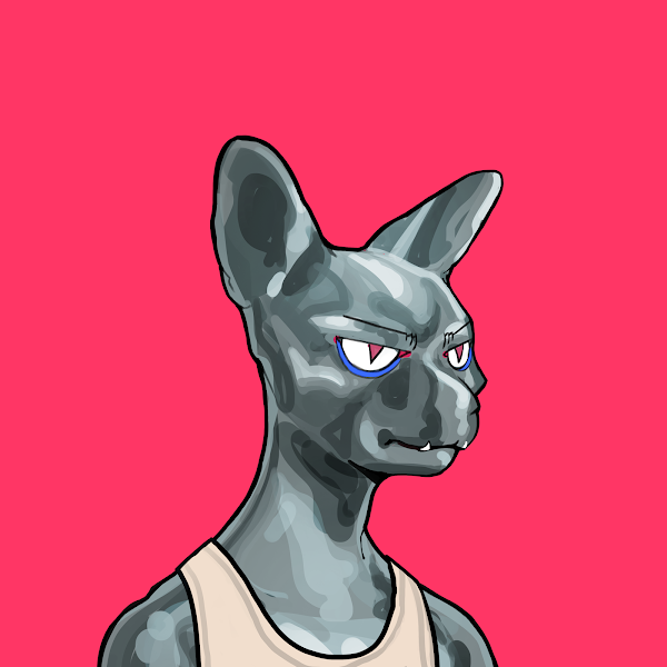 Binscent2's tweet photo. @SphynxCouncil https://t.co/YsQHKILaWY