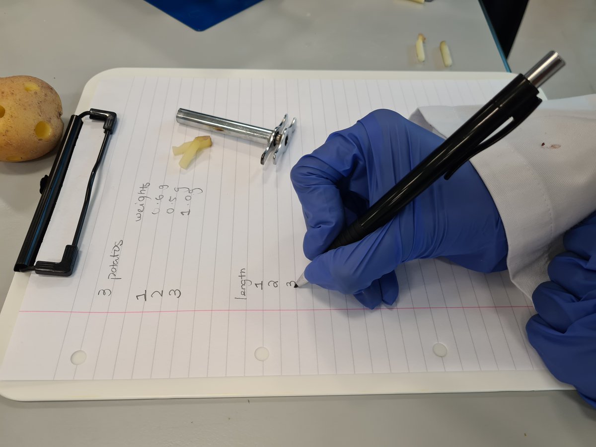 Science at Amity Abu Dhabi tweet media