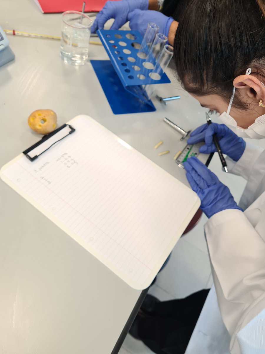 Another #ALevel #Biology core practical - Potato osmosis

#AmityADBiology #AmityADSixthForm #BacktoSchool2021 #AcademicTwitter #InspiringExcellence #AmityADBiology #AmityADIgnitingMinds #AmitySecondary #BeExtraordinary