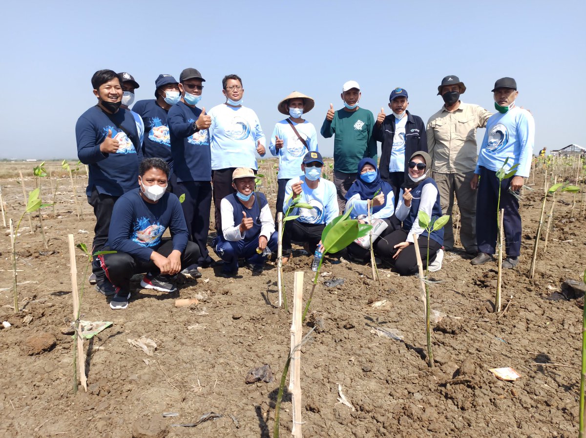 reza_doc's tweet photo. Selasa 12/10/2021, Reza Kurniawan, Luhkan Kab Pati, 
di Desa Bulumanis Kec. Margoyoso, melaporkan Kegiatan penanaman Mangrove jenis Rhizopora Sp. 
@BRSDM_bp3tegal @brsdm_kp  @puslatluhkp 
#GiatLuhkanSatminkalTegal #KabPati https://t.co/bYEpKhk9le