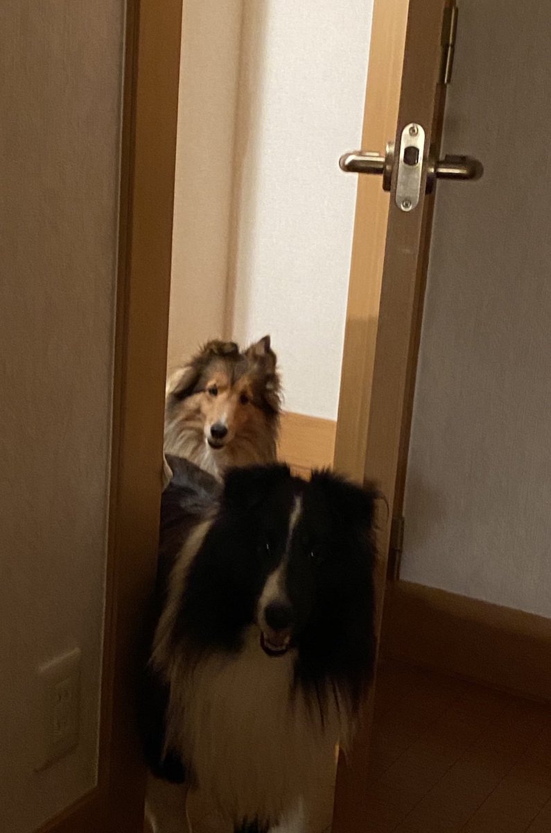 タグ 釧路 の注目ツイート メガとんトラック タグ 釧路 の注目ツイート メガとんトラック