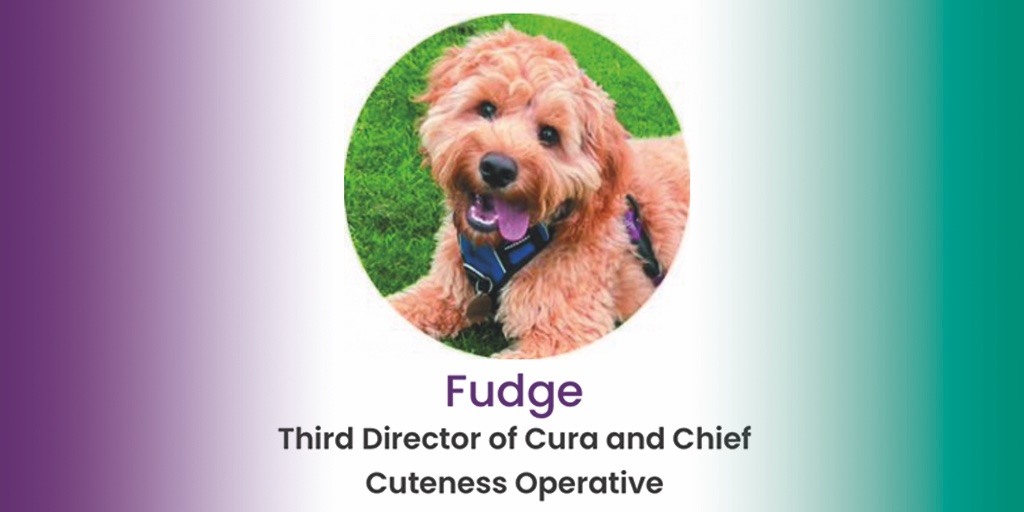 CuraFS's tweet photo. Congratulations @FudgeKnowles on passing your 6 month probationary period with flying colours!

He's officially made the website!!! 🐶💕

Although to be honest, he's officially been our mascot since day one! Just look at that face!

https://t.co/EDZHKy7ZV7

#Mascot 
#CuraFamily https://t.co/DpY6Vt1dHK