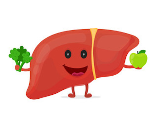 harrysam024's tweet image. Liver health, we care, we love it, nature!🍀❤️💯