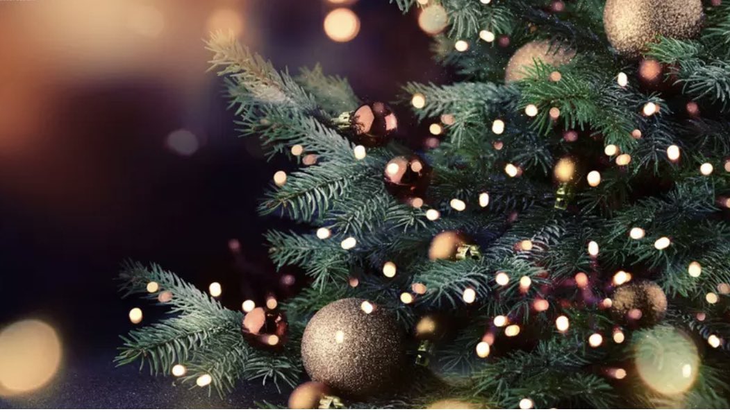 It’s never to early to find that perfect Christmas tree! 

Sustainable, beautiful, free delivery and all hand wrapped- that’s the Bennett’s touch! 

bennettsofderby.co.uk/product-catego…

#christmastree we have #christmaslights too and beautiful #christmasdecorations