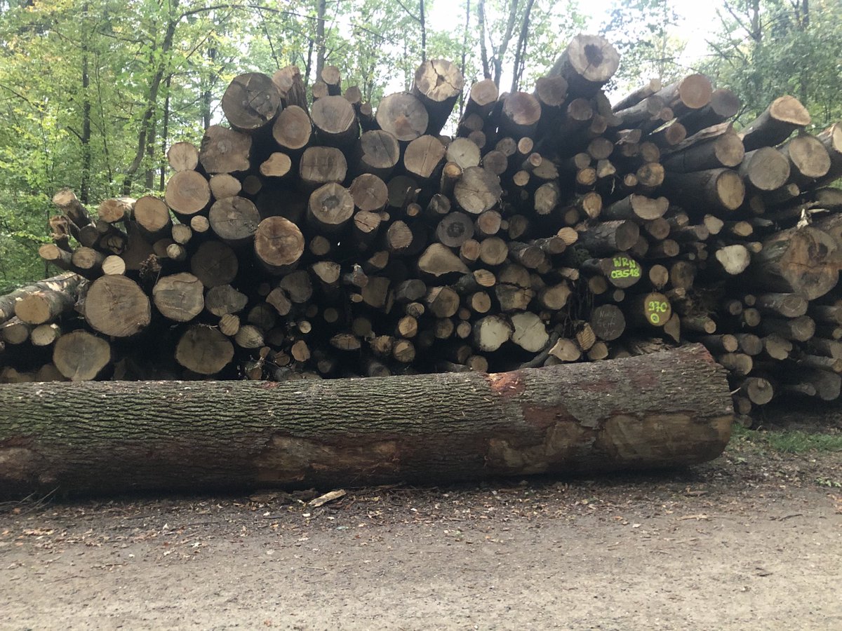 Rainer Stadler tweet media