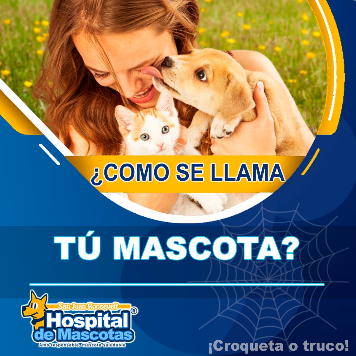 Vet_SanJuan_'s tweet photo. ¡Queremos conocer como se llama tu mascota! ❤
Escribe en los comentarios el nombre de tu fiel amigo 🐈🐕
#perros #gatos #Mascotas #veterinary #cuidadosparamascotas #perrhijo #gatijo #gatito #PetBenefit #DogLover #catlover https://t.co/digZf4ZbFY