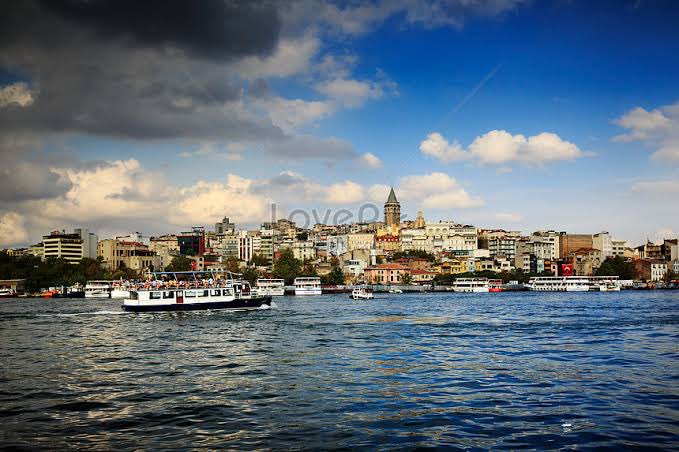 Elif Nur Firat-Karalar tweet media