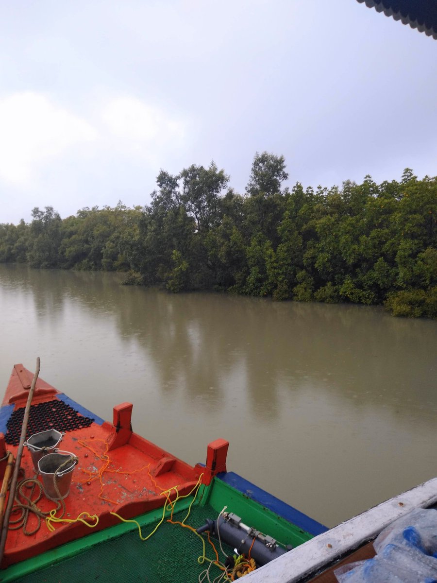 Sundarbans Biological Observatory Time Series tweet media
