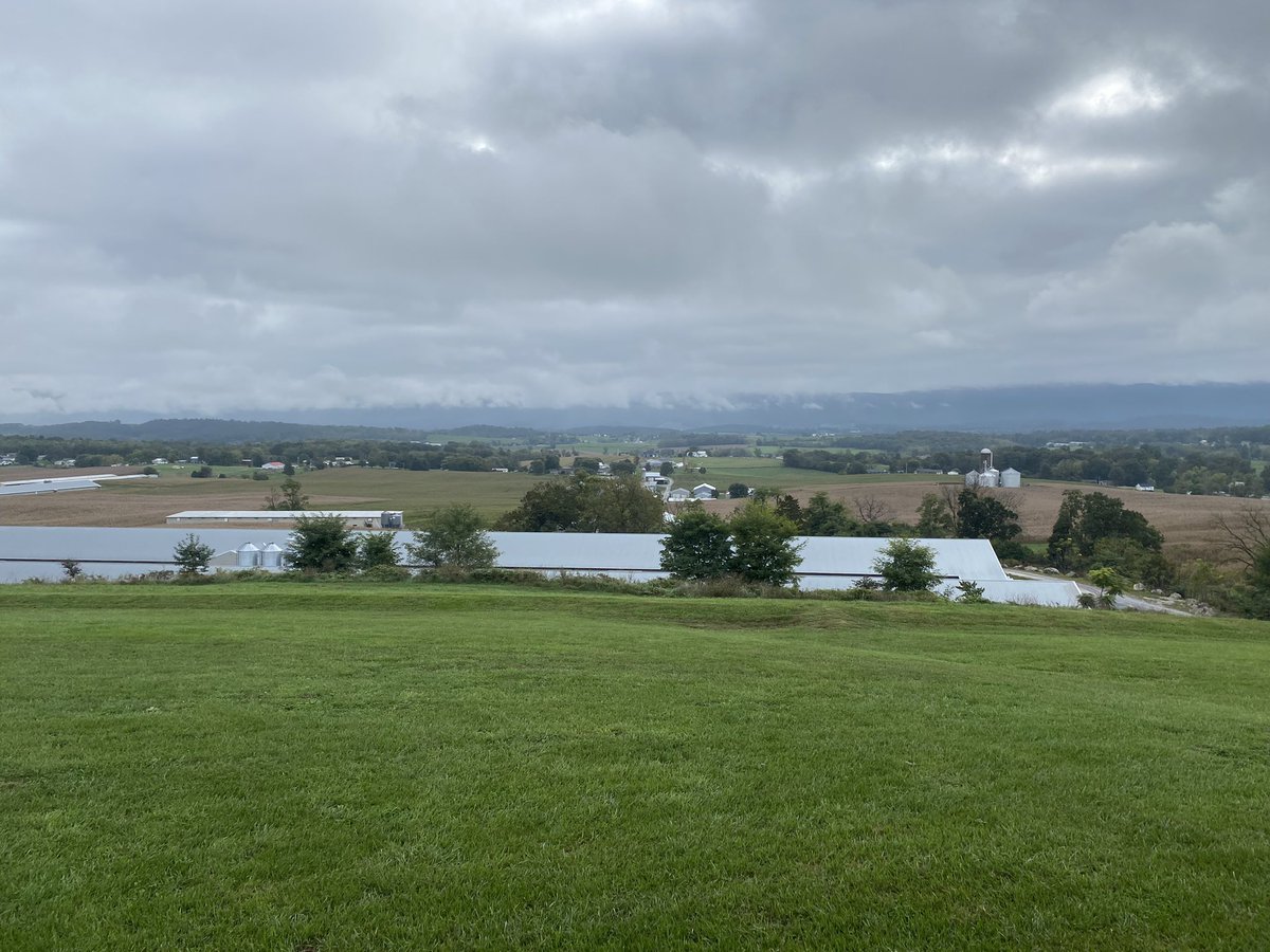 Amy Roscher tweet media