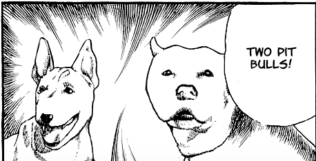 Good Faces tweet media