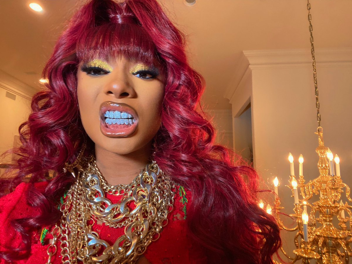 theestallion tweet picture