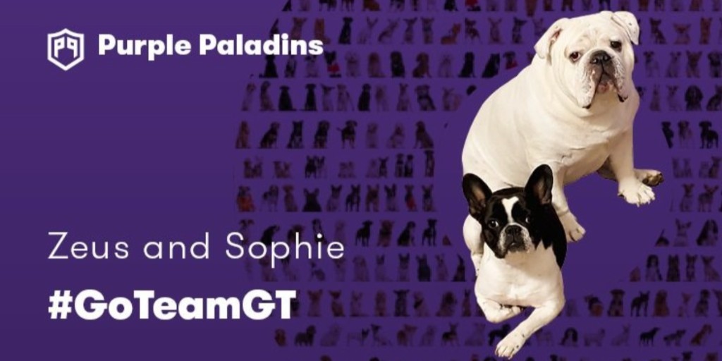 GrantThorntonUS's tweet photo. Our pets are ready to cheer on employees & their dogs as they finish Go Team training - starting Thursday! First up, Zeus & Sophie. They'll be cheering as we reveal the #dogs in training! Follow the weekly journey here. Learn more. https://t.co/OxFQsd9n18
#GoTeamGT #nonprofit https://t.co/1obOwlGiHk