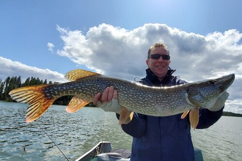 inVOYAGE tweet media