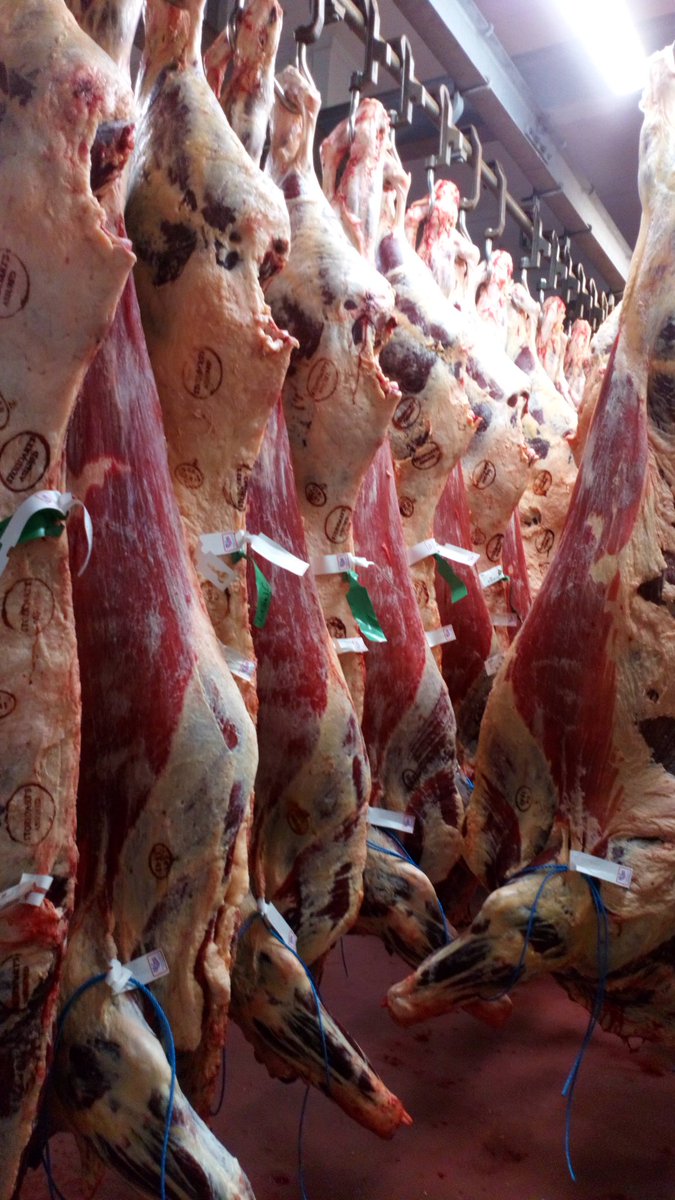 Stoddart's Best in Beef tweet media