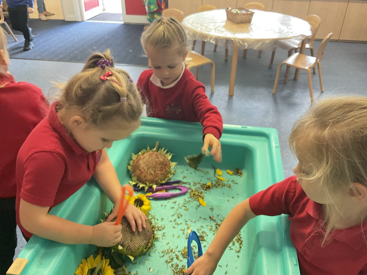 cogannursery's tweet photo. Developing our fine motor skills.#Curriculumforwales @WG_Education @EAS_EarlyYears @EarlyWales https://t.co/hIEgo0r2w7