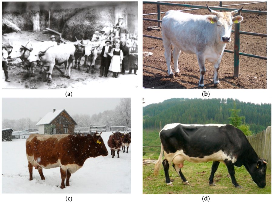 Global Journal of Animal Breeding and Genetics