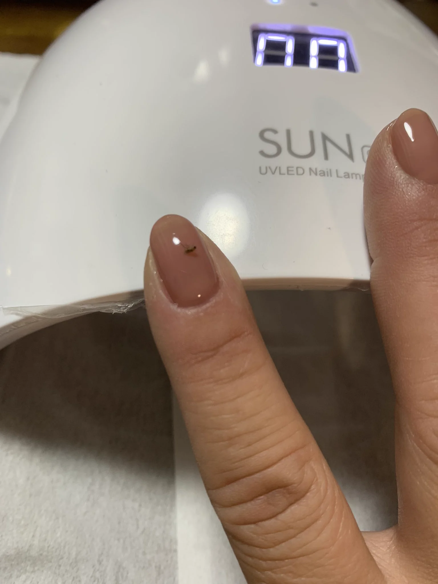 @chi_co0406 同じ事を先日やりました 