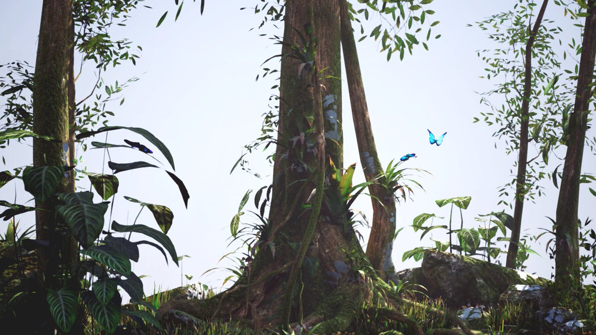 Julien Manon tweet media