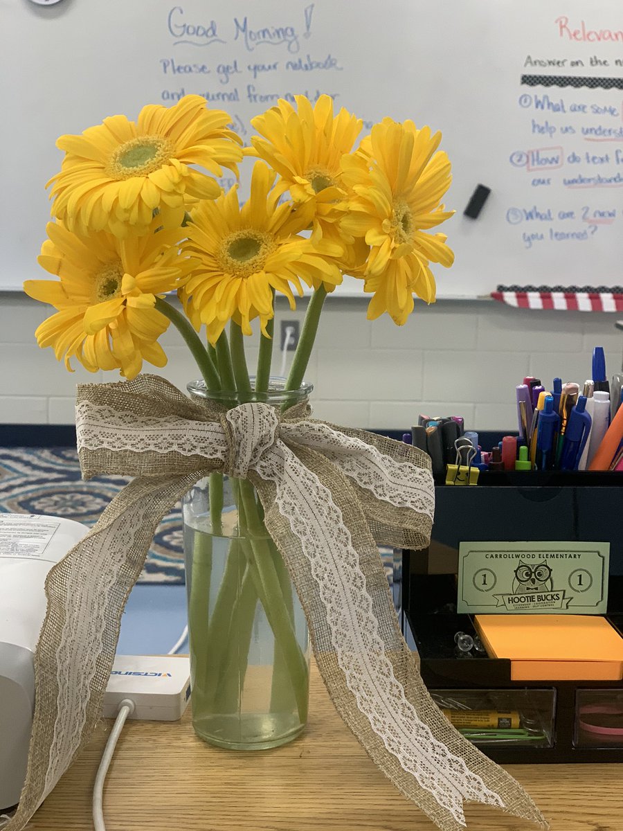 You know it’s going to be a good day when you receive flowers for helping a teammate learn how to work with your students’ very niche set of needs. 😊 #TulipTuesday #MoreLikeDaisyDay #IPreferDaisies #ILoveMySchool @CarrollwoodElem