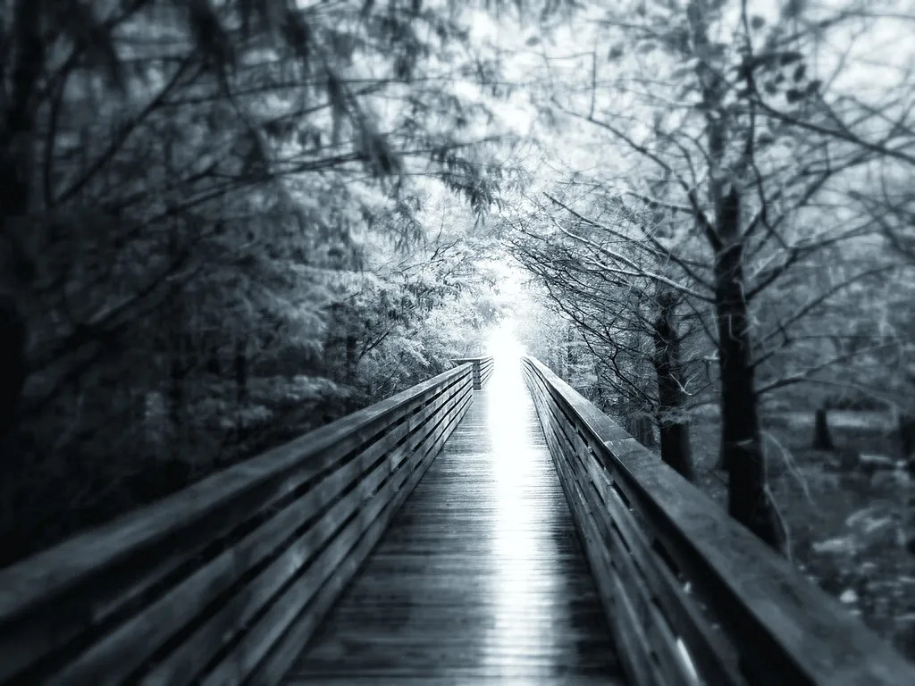 BetterBackstage's tweet image. Backstage replaces proprietary features with open standards without sacrificing functionality.

While we fully support ActiveSync, we offer the latest spec of IMAP, CalDAV, WebDAV and CardDav.

Confirmed: There is life after Exchange!