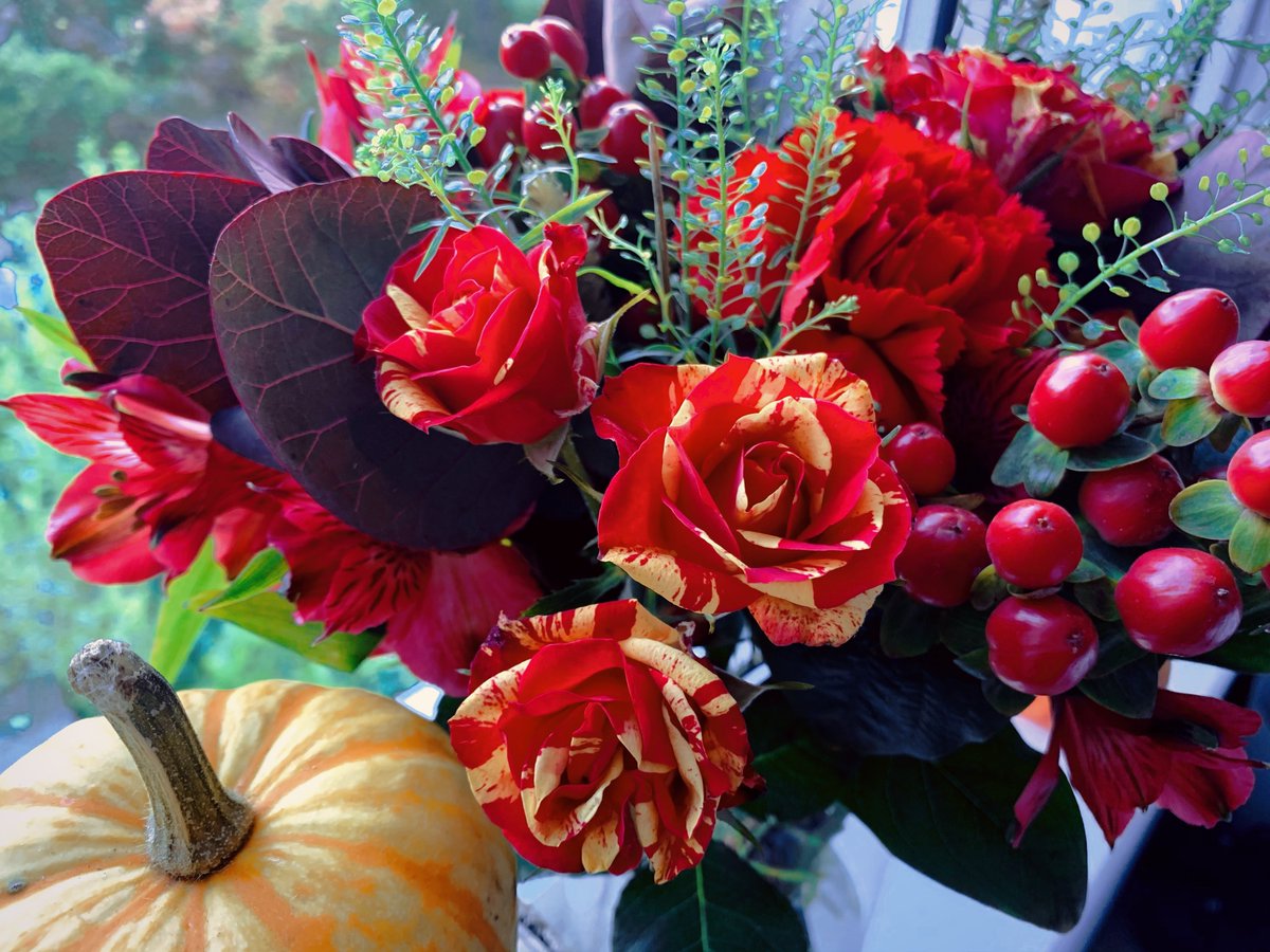 PostaRose's tweet image. Autumn has arrived 🍂

Shop our Autumnal range now at ow.ly/zjwg50GpZOK