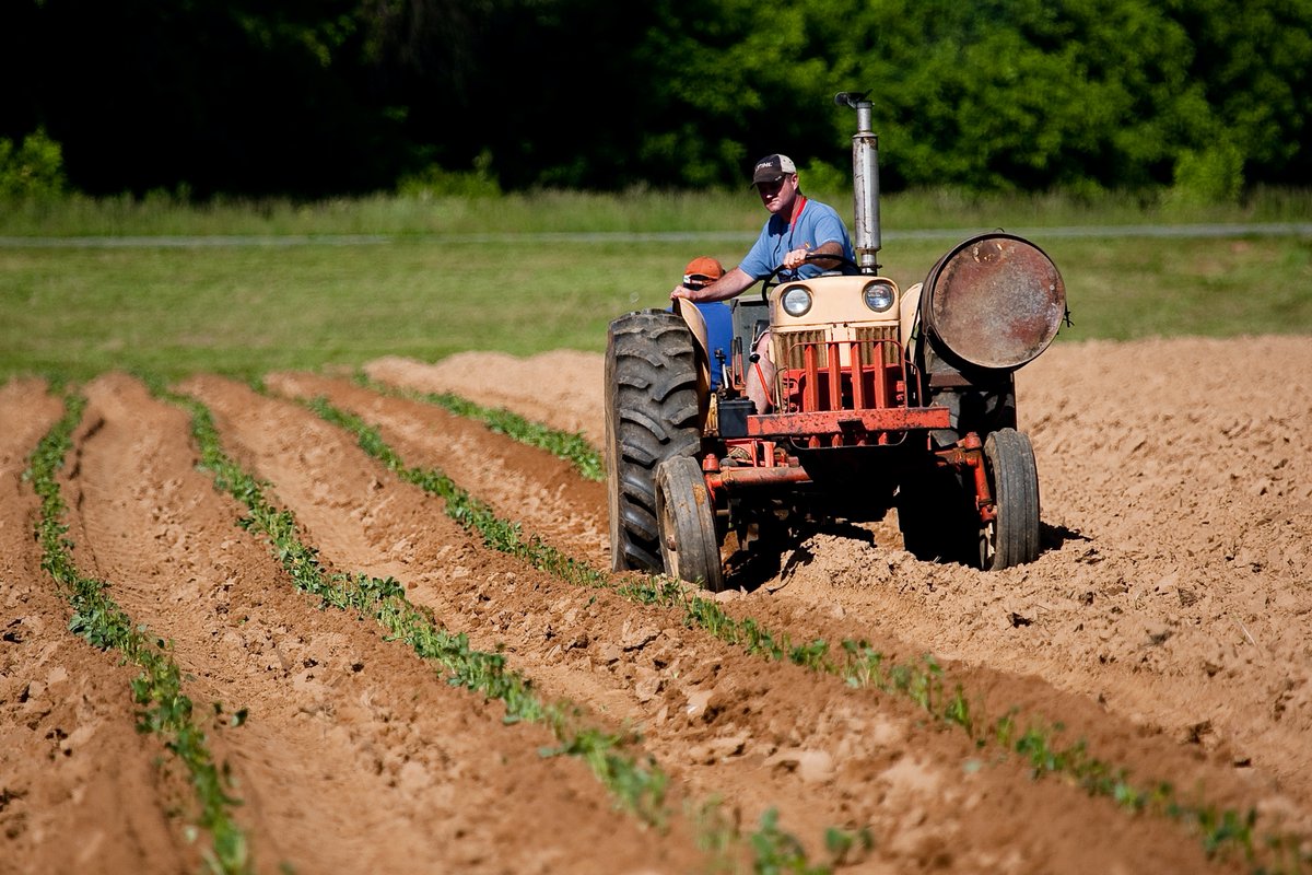 Today we're taking a moment to share appreciation to all the producers who work tirelessly to feed us year-round. Happy #NationalFarmersDay! #FarmersAreVital