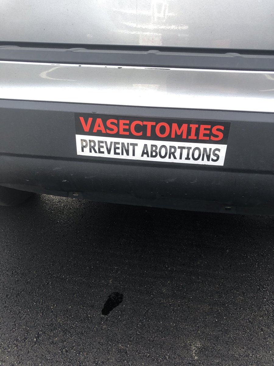 falling tree (@basketsofflower) on Twitter photo 