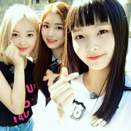 raredreamnote's tweet image. 