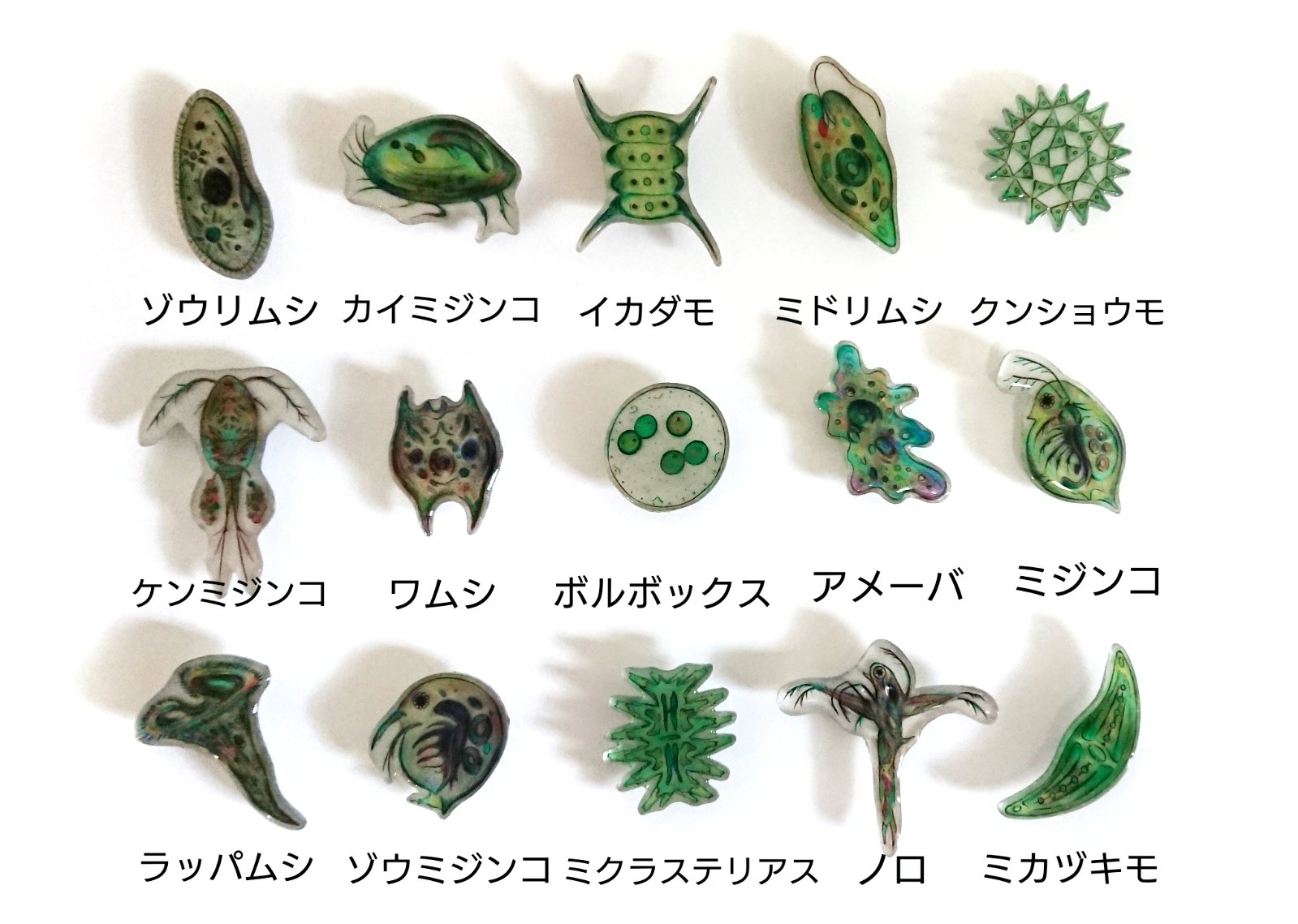 魅惑の微生物 Ayano Katayama Twitter