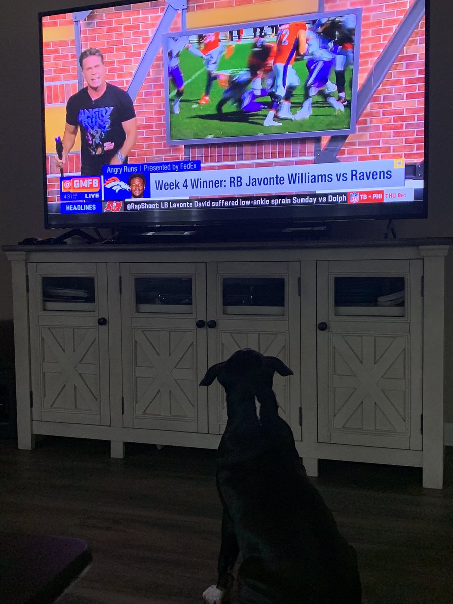 GoFast68715269's tweet photo. @gmfb @Lions @DAndreSwift Cole enjoying a little angry runs! https://t.co/aUhireBVnS