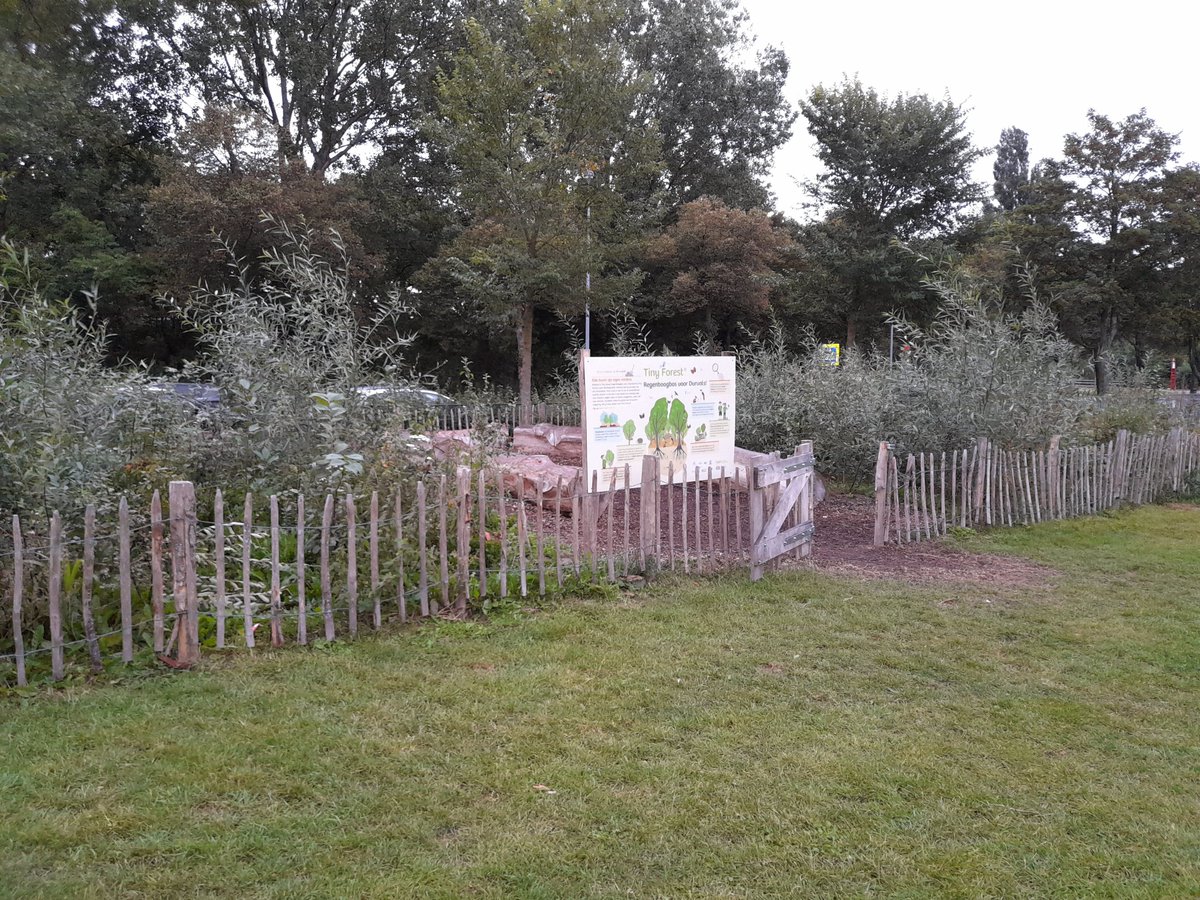 Bodemdierendagen | Erop of eronder. Dat was het thema van de nationale Bodemdierendagen. Mensen in heel Nederland gingen op onderzoek uit om te ontdekken hoe het met onze bodem is gesteld. Want, het leven in de bodem is heel belangrijk. Ook voor het leven bóven de grond.