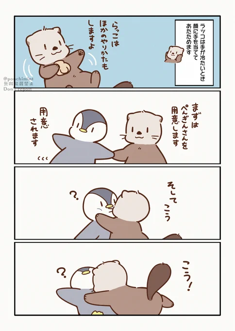 #しらほしずかん「さむがりらっこ」 