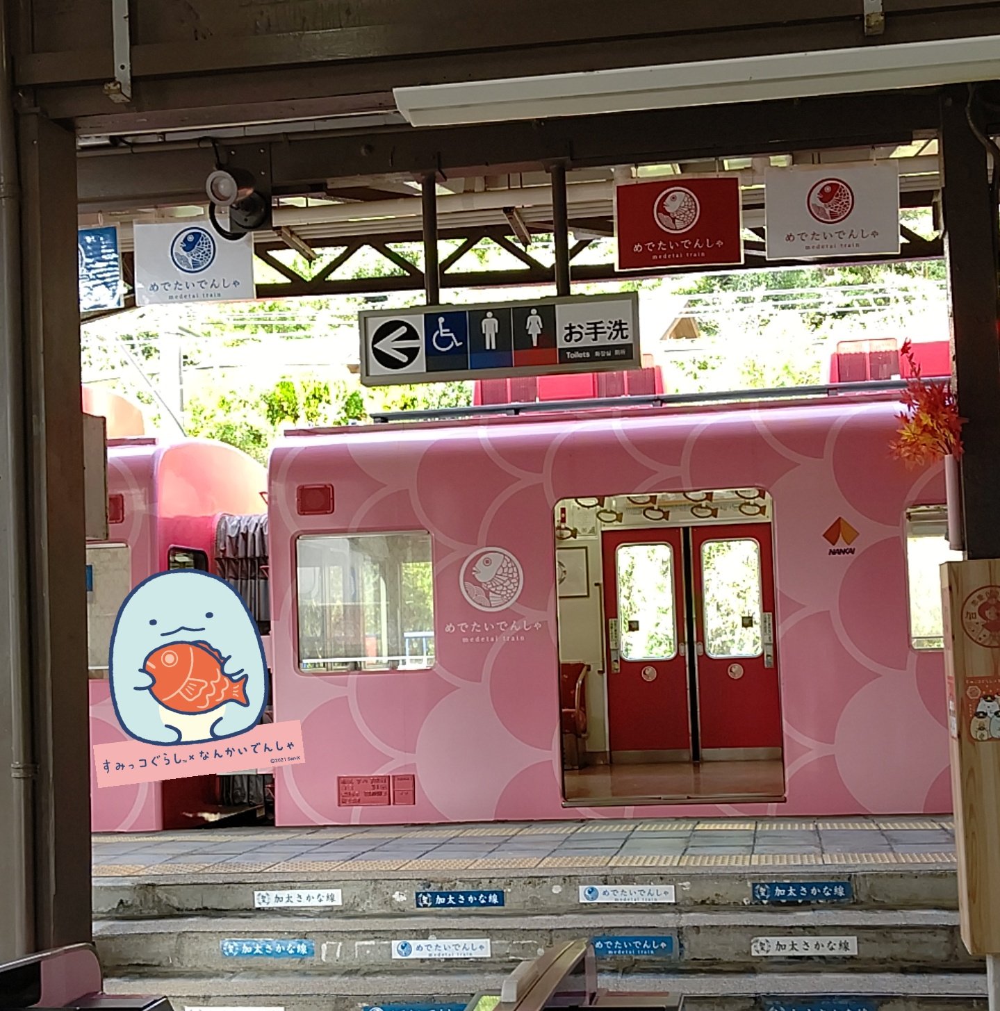 全国展開キャンペーン スタンプ ポケモンカード イーブイ 235 BW
