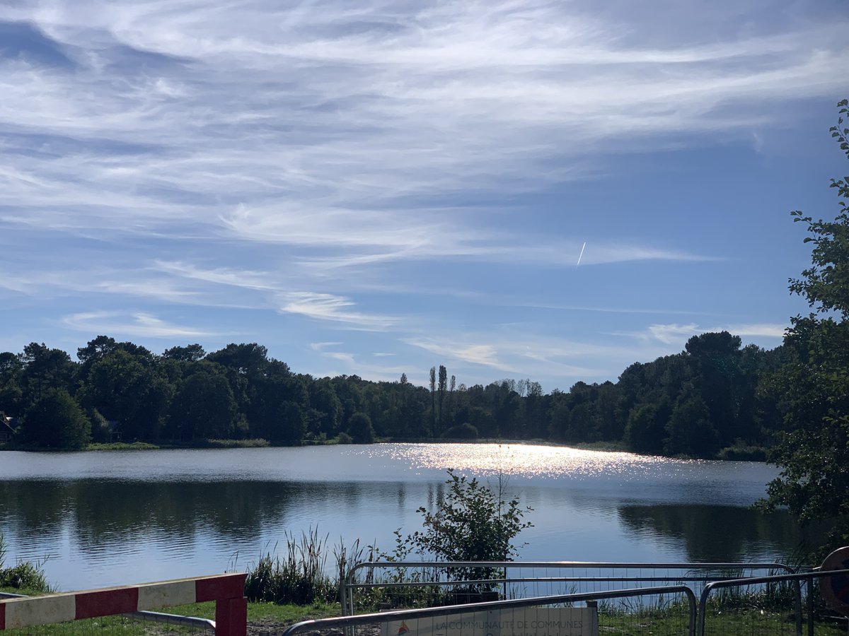 22 bénévoles SNCF se sont rendus au lac de Rillé (37) pour entretenir les berges et favoriser la nidification, lors de la Journée Solidaire Environnementale organisée avec @LPOFrance @uniscite_cvdl @FondationSNCF 
#JournéeSolidaireSNCF
#PourNousTous
#SEDD2021
#environnement