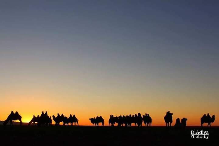 Сайхан амраарай