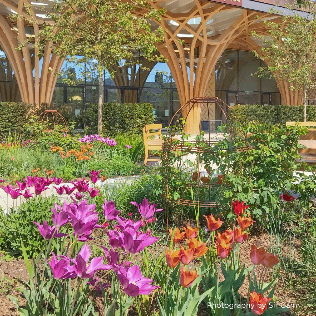 MarksBarfield's tweet photo. The story of Cambridge Central Mosque - Landscape
A guiding principle has been to combine Islamic design with a contemporary British plant palette.
#2days #StirlingPrize 14 Oct 2021
#SustainableArchitecture #BritishMosque #ArchitectureAward #Landscape https://t.co/BecJRu0goA