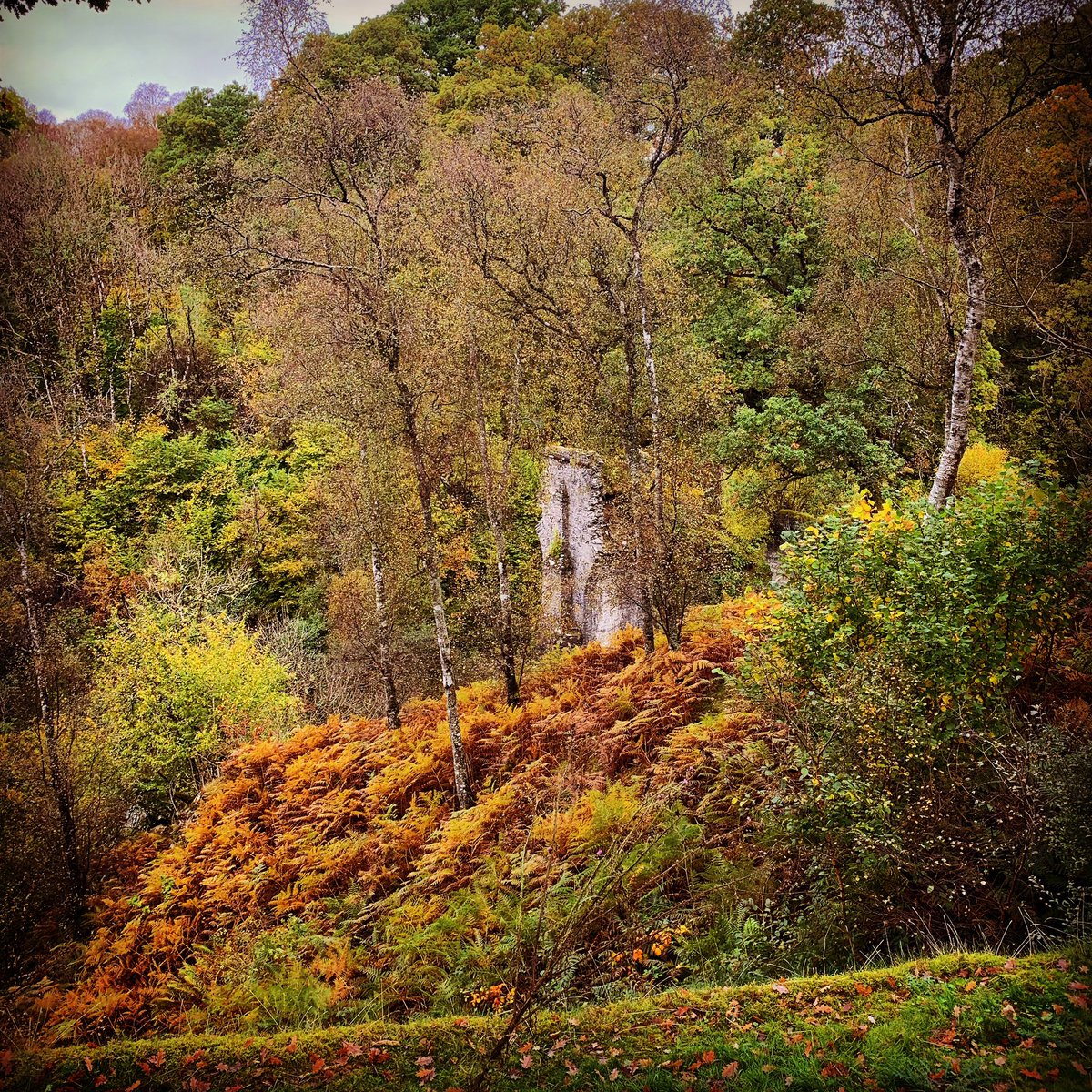 High Bridge Path tweet media