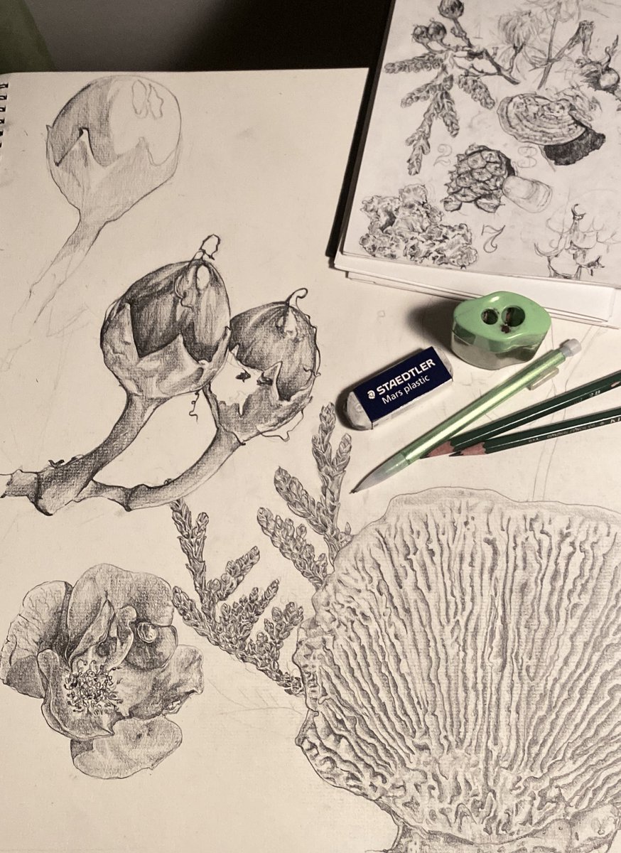 sonhdon's tweet image. showing my graphite and charcoal pieces for this #PortfolioDay