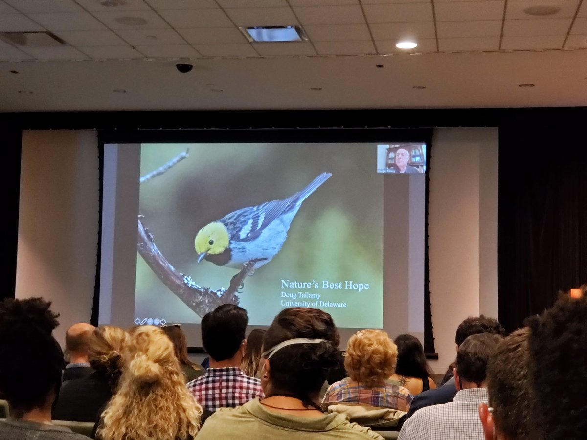 Excited to hear from <a href="/DougTallamy/">Doug Tallamy</a> from <a href="/HNPontheMap/">homegrownnationalpark</a>! #sustainable landscaping lawnandland.org